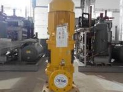 Поставка центробежных насосов DESMI для ледового бассейна